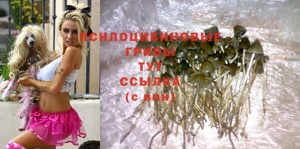 шишки Бородино