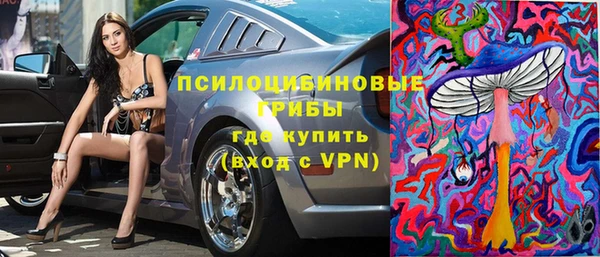 шишки Бородино