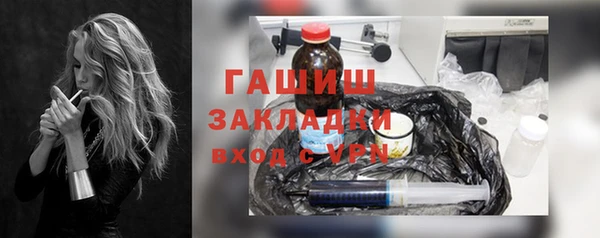 шишки Бородино
