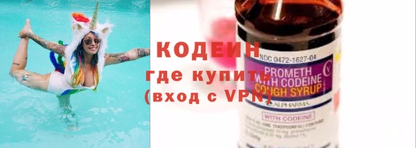 шишки Бородино