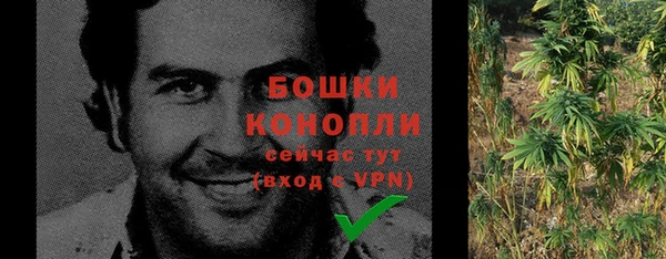 шишки Бородино