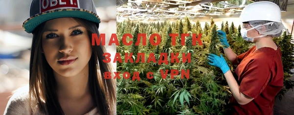 шишки Бородино