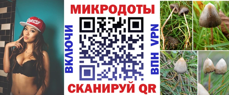 купить наркотик  Свободный  Псилоцибиновые грибы ЛСД 